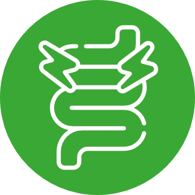 Reduced
Digestive
Discomfort