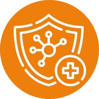 Immune
System
Support