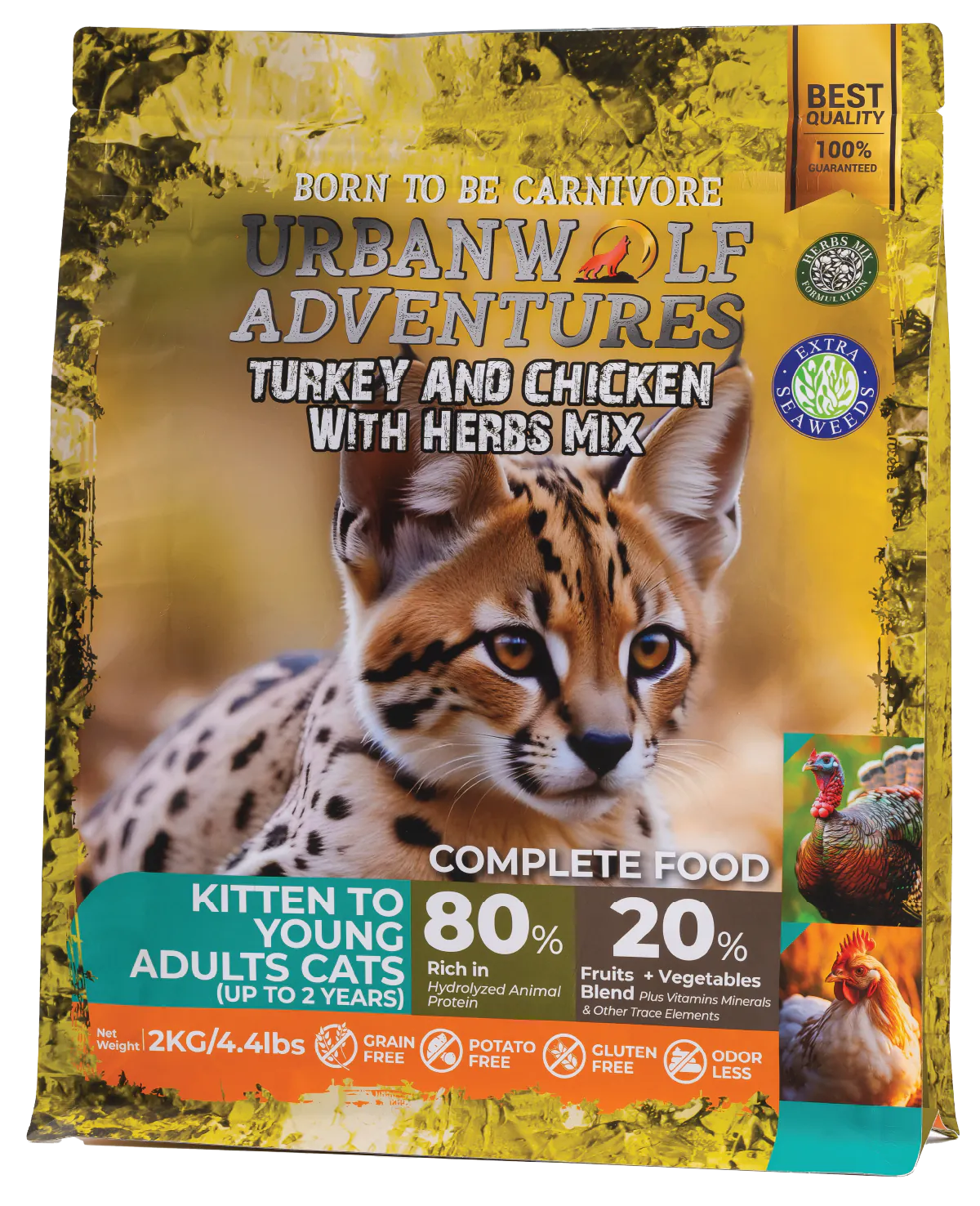 /img/cat-original/kitten-adult/20.Kitten.webp