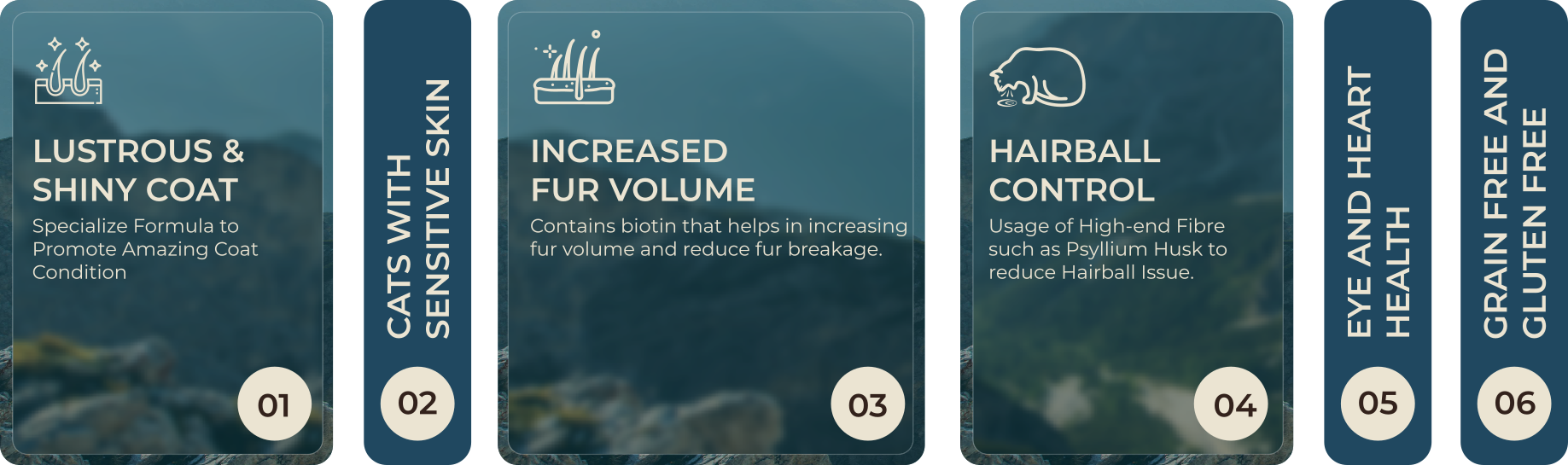 hairball-control Steps