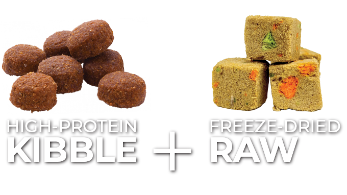 Grain-free kibble with freeze dried raw pieces