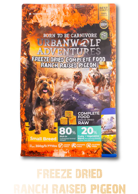 Urbanwolf Adventures pigeons dry food pack